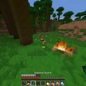 MCSG - A Funny Short