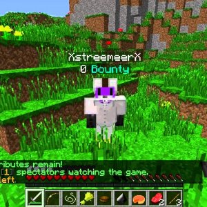Minecraft Survival Games ep.52 Destroying Teams!