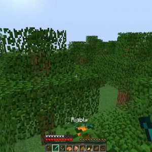 Minecraft Survival Games: Game 28: Teams in Deathmath!
