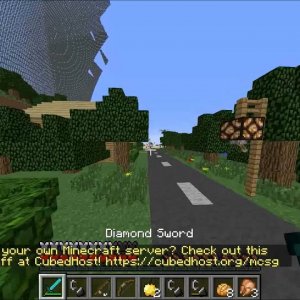 MCSG, #3 Diamond Helmet $w3g!