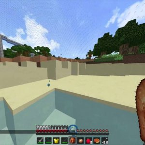 Minecraft Survival Games #16: Nally and Duck!