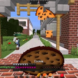 Hunger Games | Game 41 | How I met NuJaan