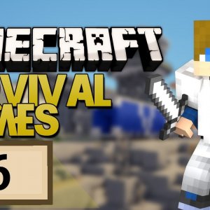 BEE attacks me while recording! | Minecraft Survival Games Ep. 6