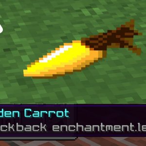 mcsg but with a knockback 40 carrot